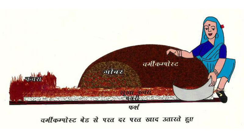 वर्मीकम्पोस्ट से परत दर परत खाद उतारने की विधि