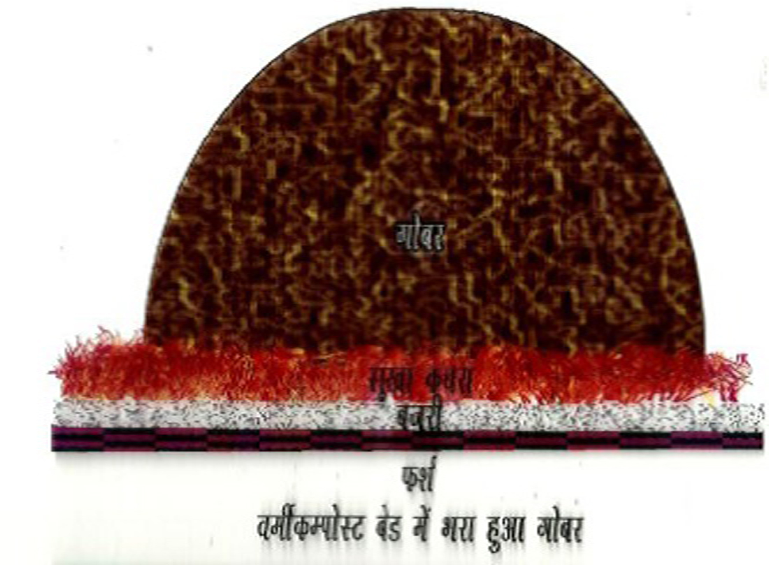 कच्चे फर्श पर लगाये गये वर्मीबेड का दृश्य
